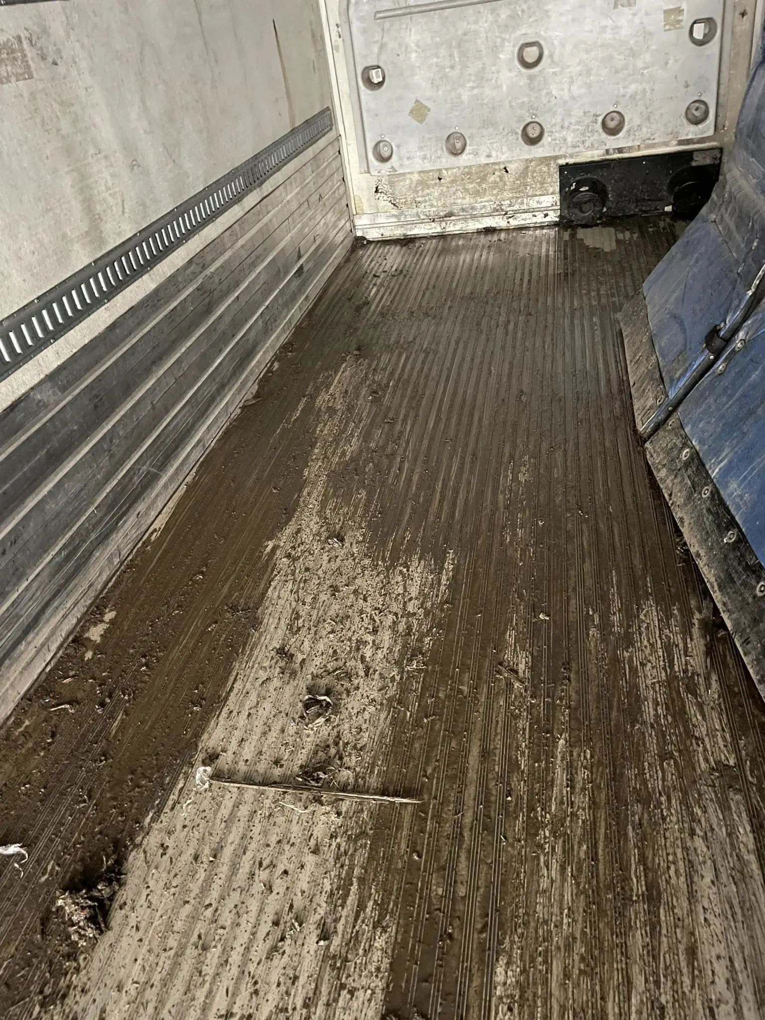 Before fleet cleaning